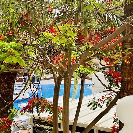 Castle Harbour Melanie'S Apartment By Lovetenerife Los Cristianos  Dış mekan fotoğraf